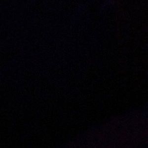 Meet your Posher, Ella